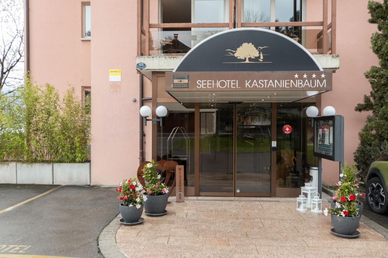 Seehotel Kastanienbaum Λουκέρνη Εξωτερικό φωτογραφία
